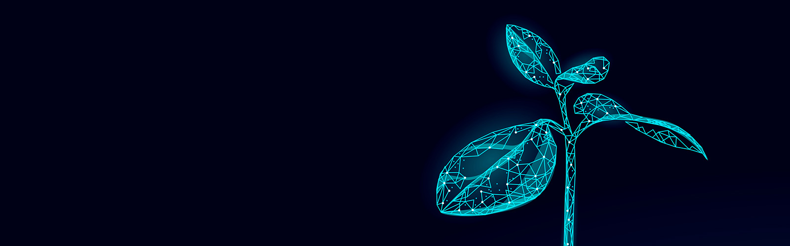 PestMan: Brush and weed management decisions for Texas and New Mexico